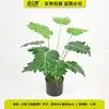 Planta Verde Pequeña en Maceta con 12 Ramas, Decoración Estilo Nórdico para Sala de Estar Interior, Adorno de Paisajismo de Planta Artificial