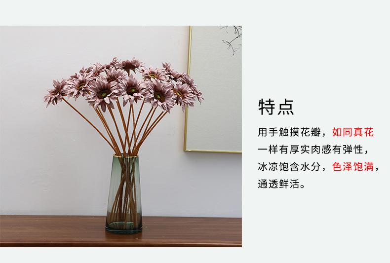 小单枝向日葵详情-兰桂坊（1）_12