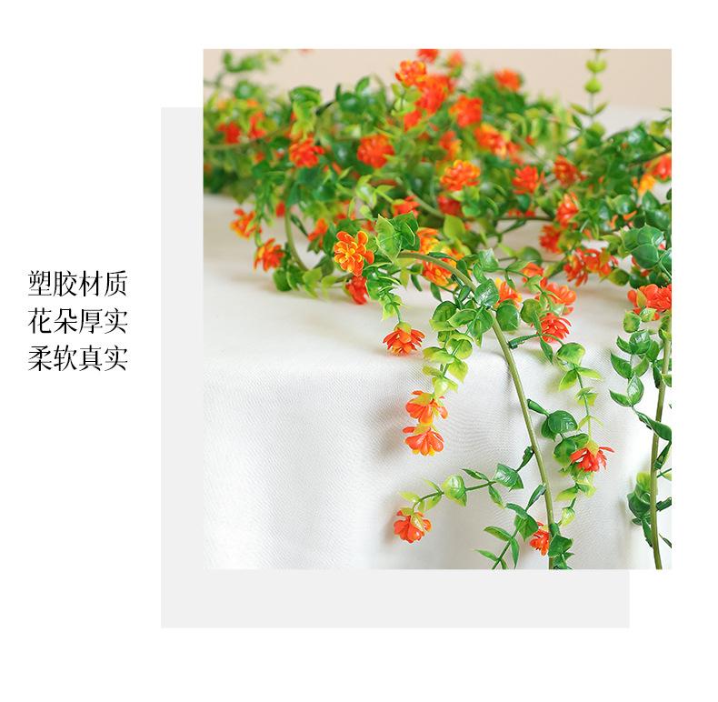 如缕6尺花藤_06.jpg