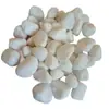 Guijarros blancos naturales para diseño de paisajes, piedras blancas para decoración de patios y acuarios, grava para paisajismo de jardines y pavimentación, adoquines blancos