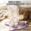Nuevo dispensador de agua por gravedad para gatos, comedero de agua para perros, dispensador de agua automático, anti-pelo de gato, cuenco para gatos anti-humedad, suministros para mascotas