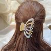 Estilo Francés Mechones Sueltos Parte Trasera de la Cabeza Pinza Grande para el Cabello Hueca Empaque Individual Pinza para el Cabello de Ácido Acético para Mujer