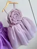 Vestido para Menina de Um Ano 2026 Novo Estilo Doce e Fofo Branco Renda Vestido Princesa Infantil Dropshipping da Amazon