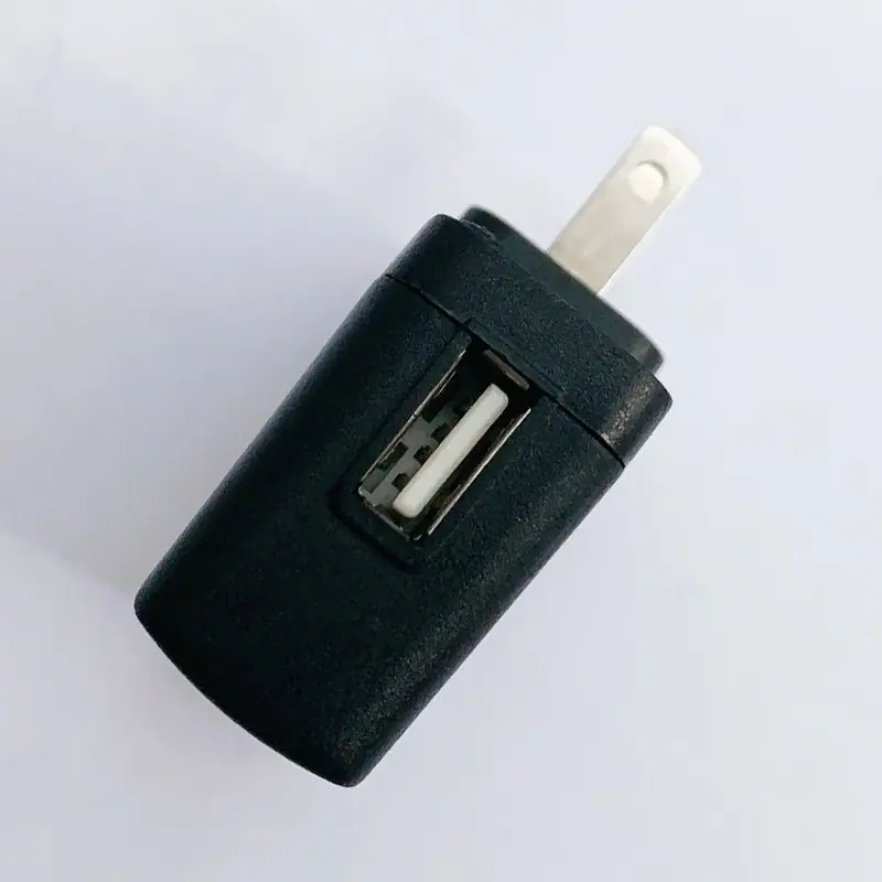 主1