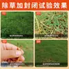 Set Laien Ping'An Jinbaixiu: Sulfuron-Etilo y Sulfuron, Herbicida para Césped de Temporada Cálida e Inhibidor de Hierbas de Hoja Ancha