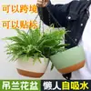 Maceta colgante gruesa de resina y plástico, creativa, con forma de rosa verde, para balcón