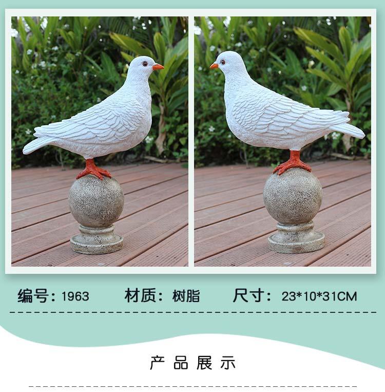 鸽子_11.jpg