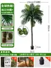 Grande Palmeira Areca Simulada Planta Tropical Coqueiro Planta Verde Biônica de Interior Árvore Falsa Atmosfera Paisagismo Ornamentos em Vaso