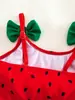 2027 Nuevo Traje de Baño Transfronterizo para Niñas Conjunto Dividido de Tres Piezas para Niños Medianos y Grandes Ropa de Baño Infantil