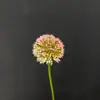 Simulación de flores rosas para bodas, hoteles, techos, banquetes, guías de ruta, hileras de flores, rosas, hortensias, flores falsas.