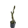 Troncos de Árbol Grandes y Pequeños Simulados, Ramas Muertas y Ramitas; Materiales para Troncos de Árboles Bonsái; Troncos de Árbol Decorativos para Jardines; Árboles Artificiales de la Fábrica Original