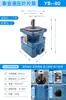 Bomba de Palhetas Wuxi Taiye YB1-10/6/4/2.5/12/16/20/25/32/40/50/63/80/100