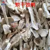 Secador de Amanita Muscaria, Cogumelo Amanita Muscaria Grande, Sala de Secagem de Fungos Comestíveis Agrocybe Aegerita, Equipamento de Secagem de Fatias de Amanita Muscaria