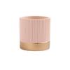 Maceta Color Morandi Rosa Amarillo Estilo Nórdico INS Lujo Ligero Simple Creativo Distintivo Dorado Recto Suculenta