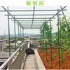 Accesorios para Plantas Trepadoras de Jardín Tubo de Acero Recubierto de Plástico Hebilla de Alambre de Acero Soporte Hebilla de Conexión de Pilar Hebilla de Resorte Hebilla Fija para Plantación en Casa