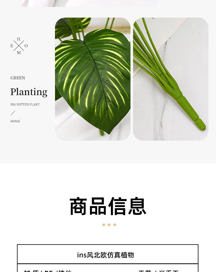 详情_05.jpg