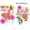 Bolsa de Flores Secas para Manualidades con Flores en Relieve, Marcapáginas de Flores en Relieve, Bolsa de Flores en Relieve, Material para Pintura en Relieve, Pegamento para Flores Reales, Hojas Secas