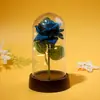 Cubierta decorativa de acrílico de vidrio de rosa regalo creativo regalo del Día de San Valentín para novia amante sorpresa luz nocturna luminosa