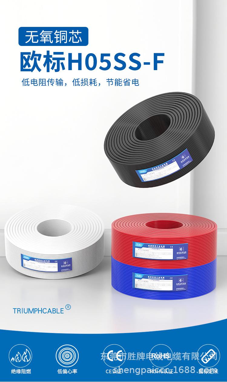 H05SS-F_01.jpg
