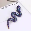 Broche de serpiente vintage de diamantes Moda europea y americana Accesorios para abrigo y traje Corsage de alta calidad Venta al por mayor La parte posterior se puede cambiar Hebilla de zapato
