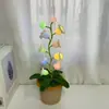 [Producto Terminado] Linterna de Campanillas de Lana Tejida a Mano Transfronteriza Flor Artificial Adornos de Escritorio Tejidos Regalos Creativos