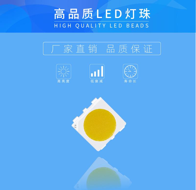 B详情3433本-01
