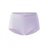 [Personalización al por mayor] Bragas sin costuras de algodón para mujer, ultrafinas, de secado rápido, transpirables, de cintura media, levanta glúteos