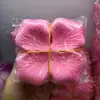 Tecido Não Tecido 1000 Peças de Pétalas de Rosa Simuladas para Suprimentos de Casamento, Decoração de Quarto de Casamento e Decorações de Casamento