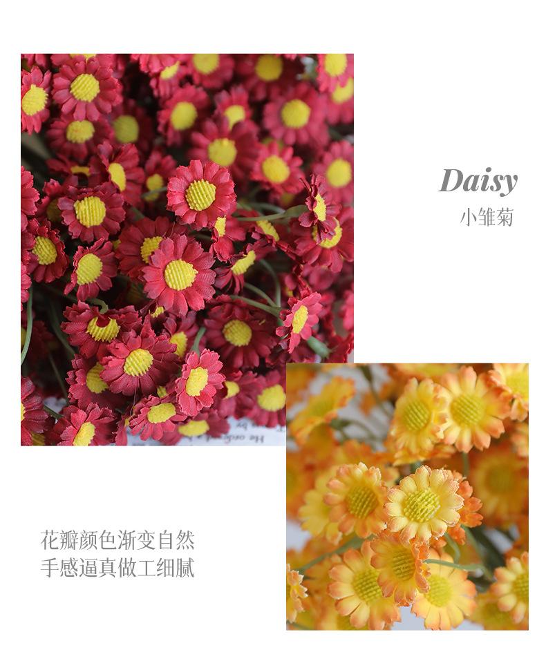 妙彤6枝手札小雏菊_08.jpg