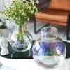 Jarrón de vidrio moderno y sencillo con forma de bola transparente, utensilios para flores hidropónicas, decoración de plantas y flores, adornos florales para sala de estar.