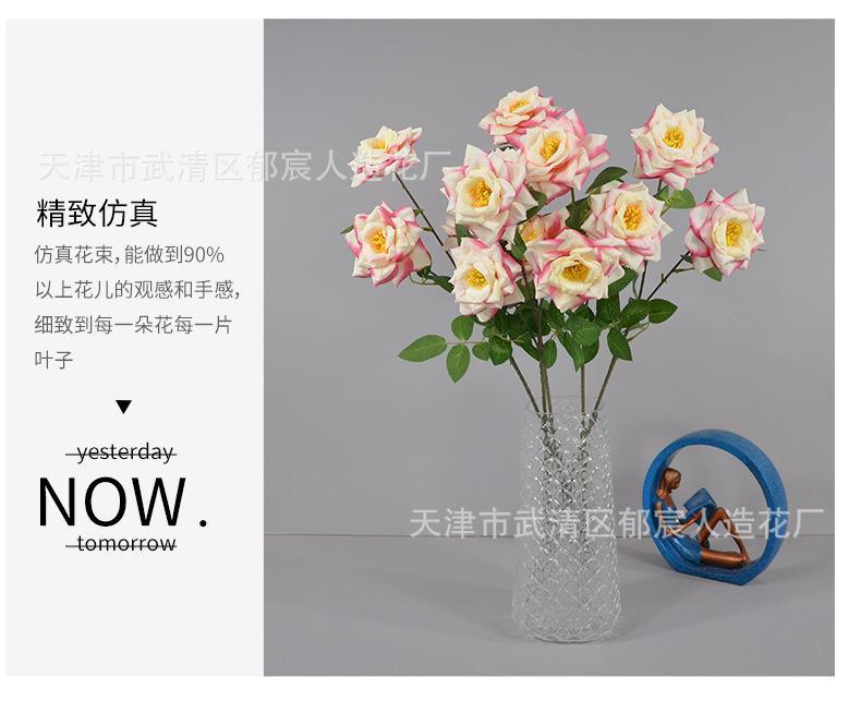 详情_08.png