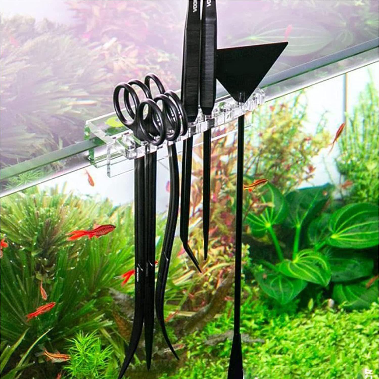 71xAi5sUwiL._AC_SL1500_