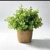 Planta Artificial de Aloe Vera e Planta Verde em Vaso de Cimento para Decoração de Mesa de Centro de Sala de Estar Interna de Casa, Folha Verde para Varanda