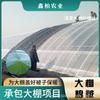 Manta Aislante para Invernadero, Impermeable y a Prueba de Sol, Aislamiento para Cultivo y Cría, Invernadero a Prueba de Frío, Manta Aislante Venta Directa de Fábrica