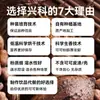 Cacao en Polvo Xingke Hainan, Cacao en Polvo Tostado con una Finura del 99%, Se Puede Preparar y Consumir, Materias Primas para Hornear