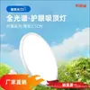 Lámpara de techo para exteriores para balcones exteriores, luz a prueba de insectos e impermeable para entrada de villa, luz de alero, lámpara de triple protección para puerta, hierro