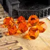Conjunto de Dados para Jogo de Tabuleiro Dungeons and Dragons 7 Peças Multifacetados Padrão Dnd Rpg Dados Multifacetados Diamante