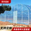 Estufa de Vidro Inteligente para Plantio de Flores e Vegetais com Sistema de Sombreamento Interno e Externo, Construída pelo Fabricante