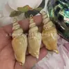 Matéria-Prima Galvanoplastia Concha de Madrepérola de Phnom Penh Concha Estrela do Mar Borda Galvanizada Pingente Pulseira DIY Colar Acessórios para Joias Material