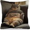 Funda de almohada de gato de dibujos animados transfronteriza, funda de almohada linda para dormitorio de gato en casa, funda de cojín decorativo para sofá al por mayor