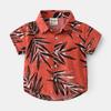 Camisa de manga corta con solapa y estampado de estilo casual a la moda para niños, camisa de verano 2023