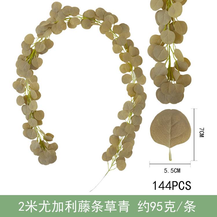 2米尤加利藤条-草青.jpg