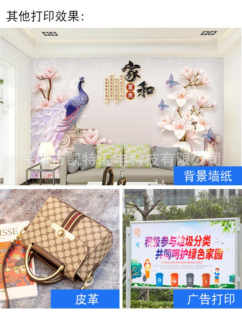 东周东芝C4E_17.jpg