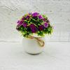 Vaso Pequeno Crisântemo Selvagem Hemisférico Bonsai Pastoral Decoração de Casa Flor Falsa Pequeno Bonsai Adereços de Paisagismo Artificial Florais Decorativos