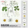 Paquete de Materiales DIY de Flores Secas Flores Prensadas Hechas a Mano Flores Conservadas Marcadores de Libros de Flores Prensadas Hojas de Árbol Real Plantas Pegatinas de Resina Maquillaje Facial