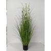 Simulação Reed Artificial Reed Grass Atacado Planta Falsa Shopping Decoração para Casa Cebola Dog Tail Grass Simulação Planta Verde