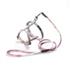 Set de correa para gato en forma de I con degradado, ajustable, anti-escape, seguro para uso en exteriores, disponible para venta al por mayor