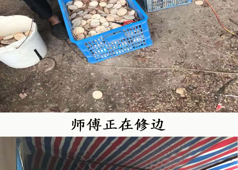 页头_08.jpg