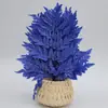 Hojas de Helecho Alpino Eterno al por Mayor del Fabricante: Hojas de Helecho Alpino Doradas, Flores Inmortales, Ramos de Flores Secas, Decoración de Bodas, Hierba Decorativa