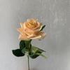 Michigan Crushed Ice Blue Hidratante Rosa Simulação Flor Cyber Celebrity Flor Falsa Decoração de Casamento Conjunto Enfeites para Casa